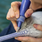 Rhian Malin decorating a mandala bottle in her workshop 2019